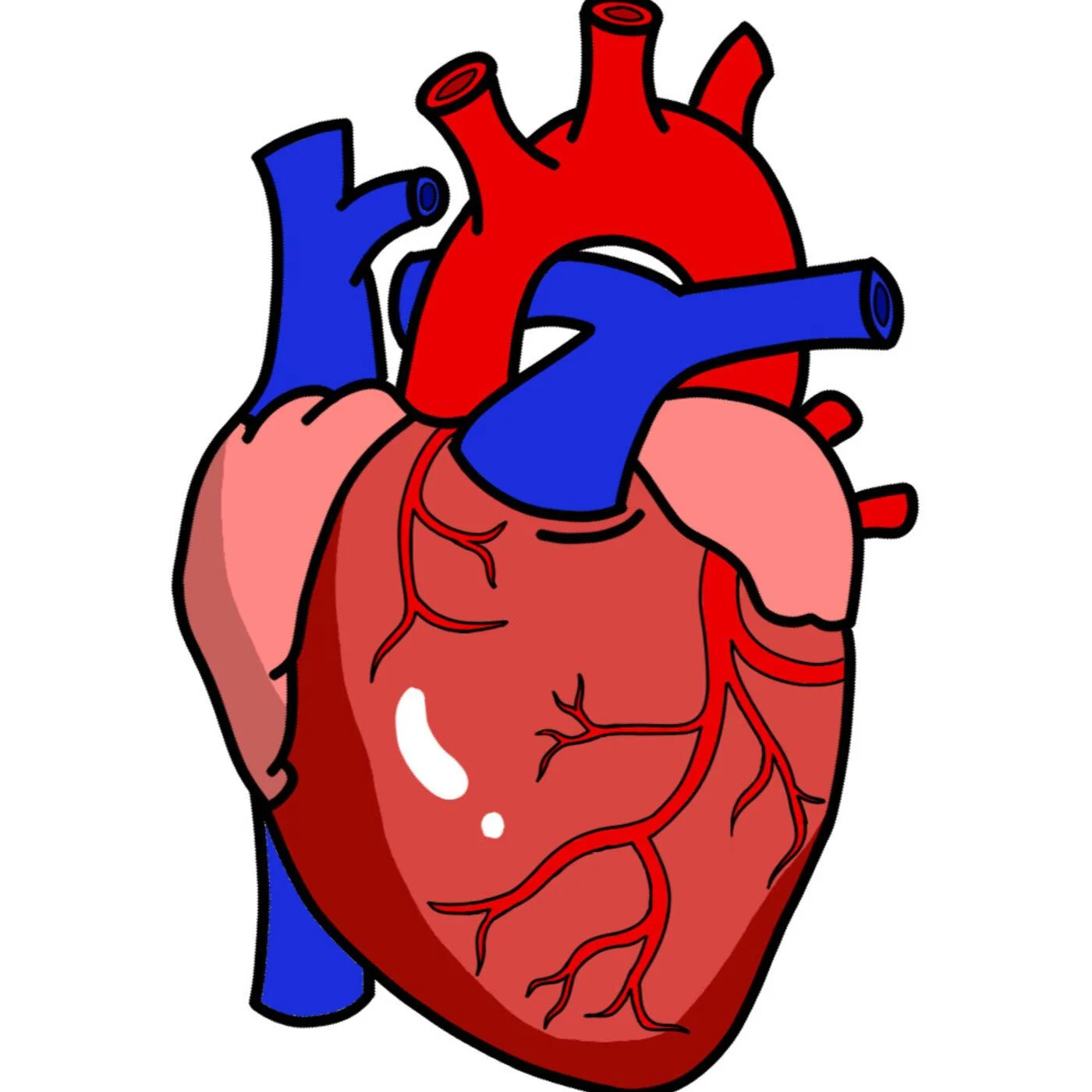 Rhesus Medicine